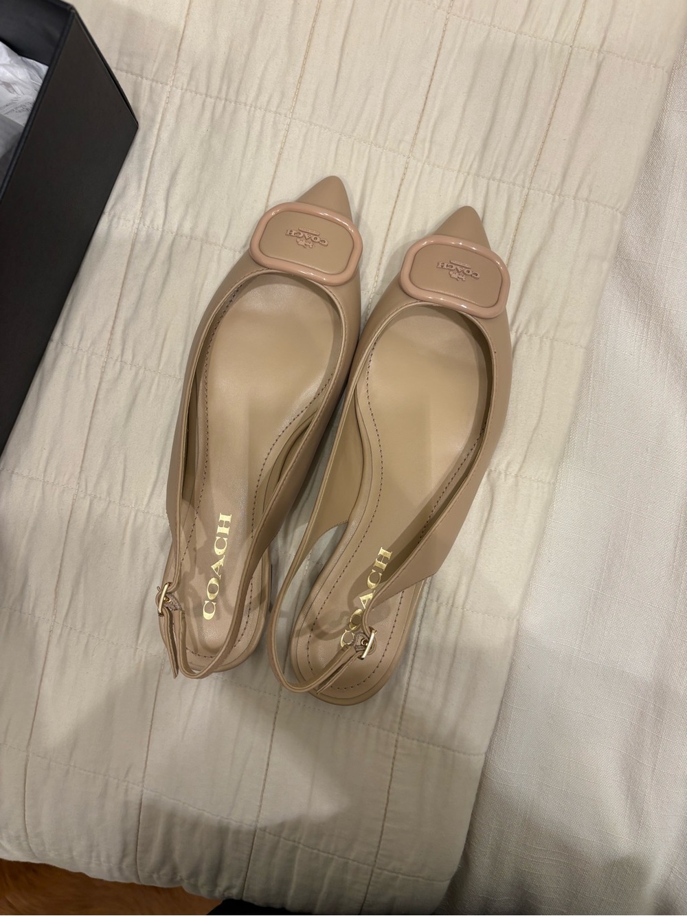 Coach Beige Pointed-Toe Slingback Flats with Logo Buckle - Picture 5 of 5